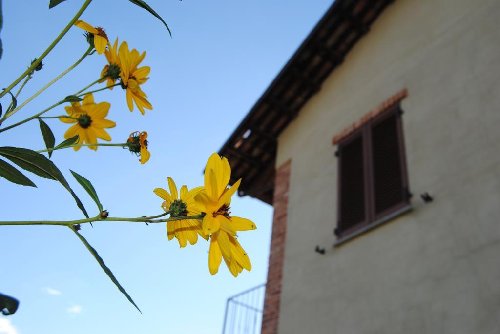 Agriturismo I Grappoli Serralunga d'Alba Exterior foto